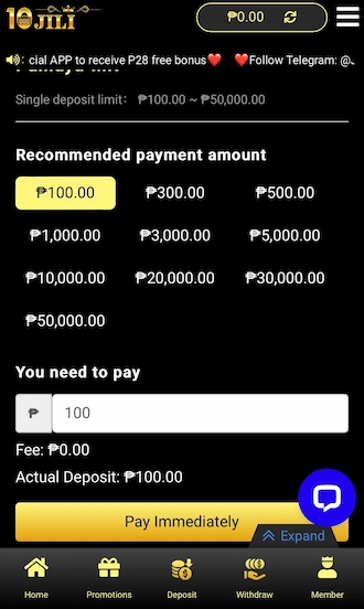 Step 3: Please select the number or enter the amount you want to pay. Then click on “Pay Immediately” to move to the next step.