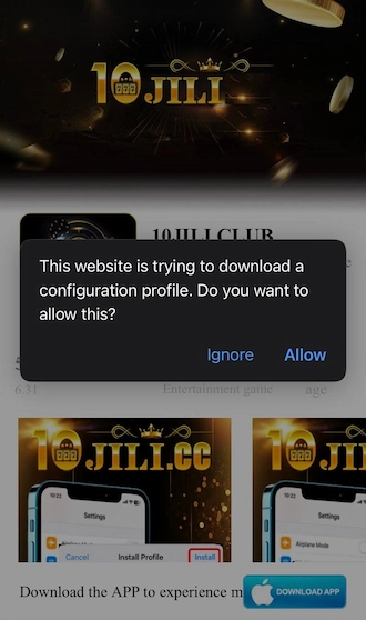 Step 3: The system will notify you that the website is trying to download a profile. Click "Allow" on this notification to confirm the download.