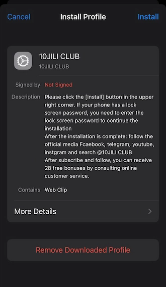 Step 4: Then go to your iPhone's settings and select 10JILI's profile. Then click "install" this profile.